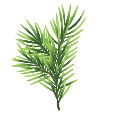 Beyaz arkaplanda izole edilmiş Noel ağacı çizimi