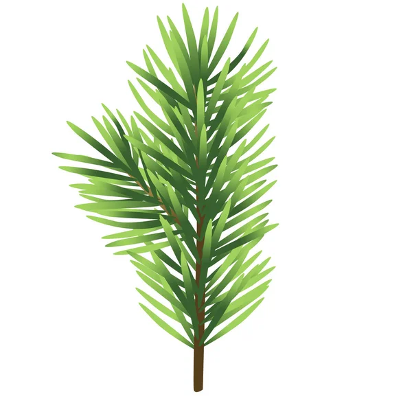 Beyaz arkaplanda izole edilmiş Noel ağacı çizimi