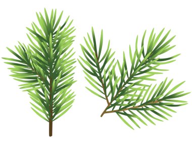 Beyaz arkaplanda izole edilmiş Noel ağacı çizimi