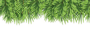 Beyaz arkaplanda Noel ağacı dalları ile sınır