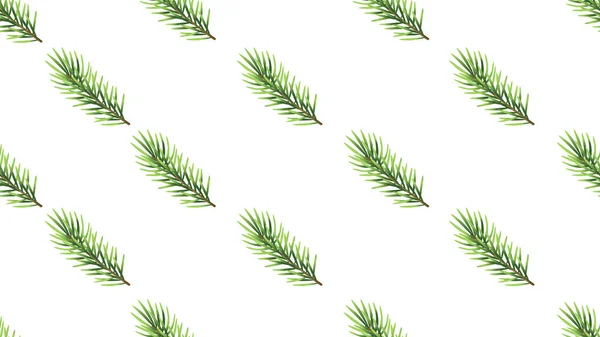 Árvore Natal Ramo Ilustração Sem Costura Isolado Fundo Branco — Fotografia de Stock