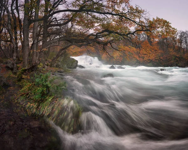 Rio De las Vueltas Sabah, Los Glaciares Ulusal Parkı, — Stok fotoğraf