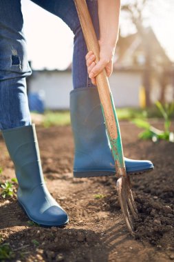 Bir bahçe - kazma bahar toprak ile Spading çatal iş. Mavi kürek ekimi yeni sezona hazırlanıyor ile bahar toprak kazma yakın çekim.
