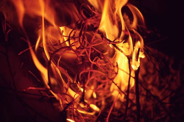 Incandescent embers background textureCharcoal fire - burning fire