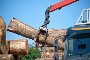 Ağır kaldırma vinç yükleme kesme ahşap logscrane operatör yükleme günlükleri kamyon - günlükleri ve woodpiles