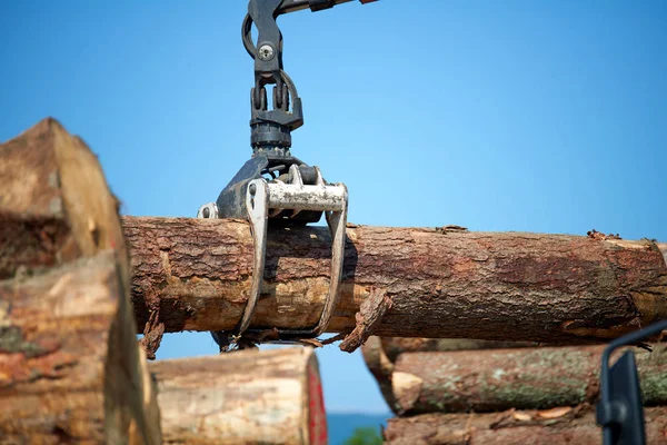 Heavy Lifting Crane Loading Cut Wooden Logscrane Operator Loading Logs — Stock Photo, Image