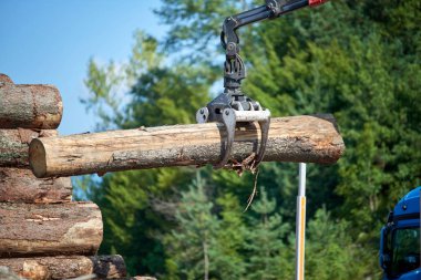 Ağır kaldırma vinç yükleme kesme ahşap logscrane operatör yükleme günlükleri kamyon - günlükleri ve woodpiles
