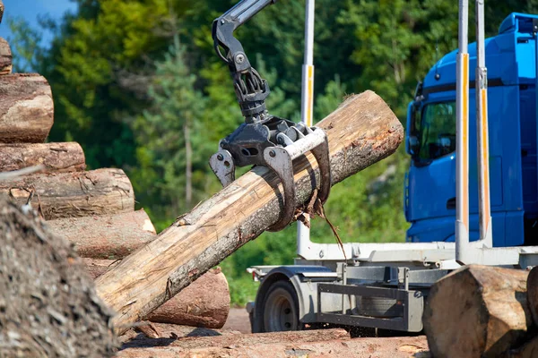 Heavy Lifting Crane Loading Cut Wooden Logscrane Operator Loading Logs — Stock Photo, Image