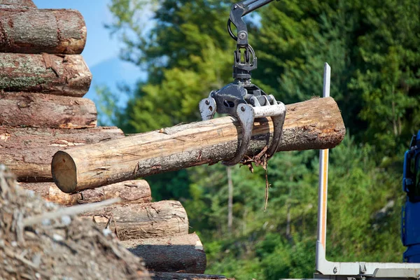 Heavy lifting crane loading cut wooden logsCrane operator loading logs on to truck - logs and woodpiles