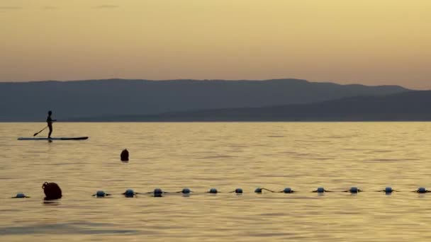 Stand Paddle Boarding Auf Ruhiger See Sommersonnenuntergang — Stockvideo