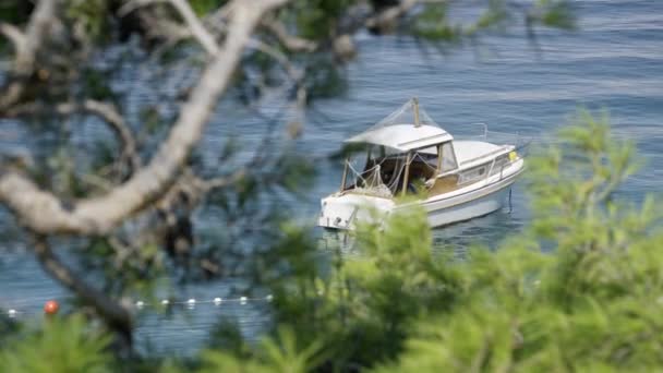 Fából Készült Csónak Horgonyzott Kis Öbölben Egy Forró Nyári Napon — Stock videók
