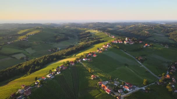 Slovenya Nın Kuzeydoğusundaki Ormo Nun Kuzeydoğusundaki Tepelerde Yer Alan Slovenya — Stok video