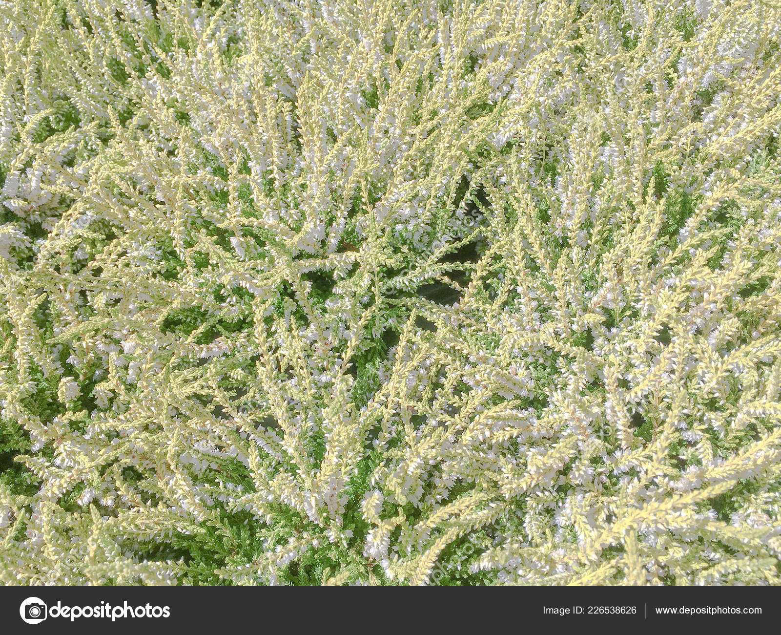 fábricas de calçados