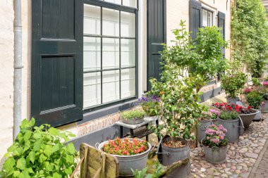 Hollanda - Elburg - 12 Mayıs 2018: yazı Elburg Hollanda dar sokaklarda bitki.
