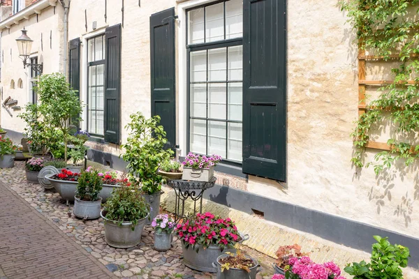 Nederland Elburg Mei 2018 Plant Post Smalle Straatjes Elburg Nederland — Stockfoto