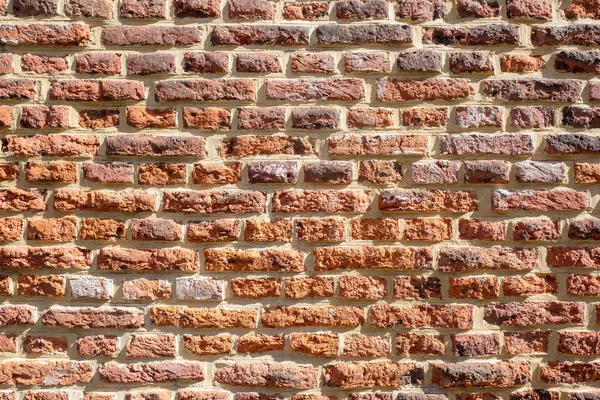 Gammal Tegelvägg Leiden Nederländerna — Stockfoto