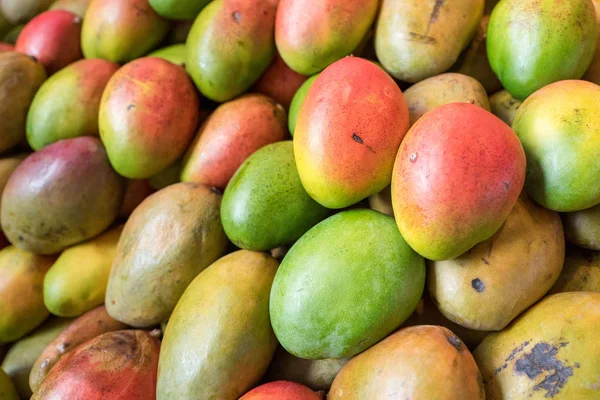 Mangoos on a market in Rotterdam, Netherlands.