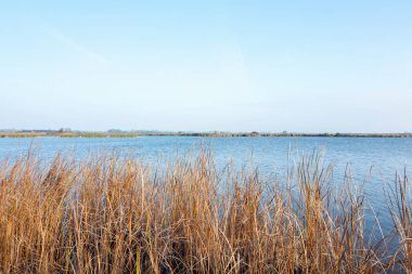 Tabiatı Sondeler Leijen Hollanda Friesland içinde görüntülemek.