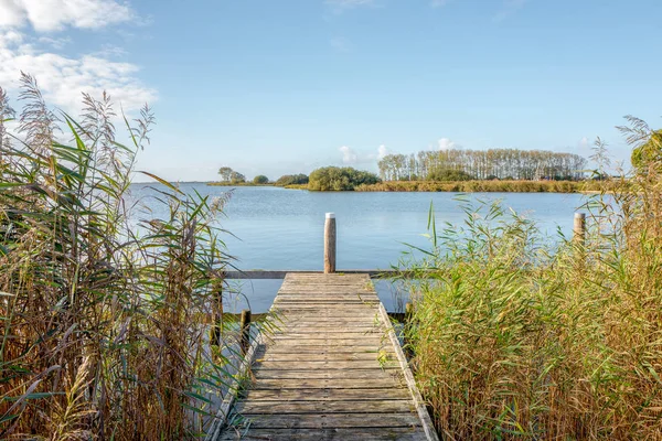 Landscape Jetty Terherne Friesland Netherlands — Stock Photo, Image