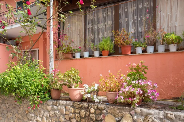 Greece Corfu Benitses July 2018 Flowerpots Beautiful Flowers Balcony Benitses — Stock Photo, Image
