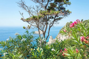 Panorama adlı Palaiokastritsa Korfu, Yunanistan.