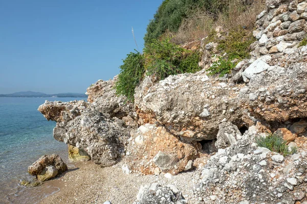 Rośliny Skalne Glyfa Wyspie Korfu Grecja — Zdjęcie stockowe