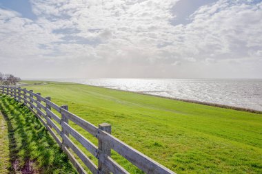 Mirnser uçurumunda dike.