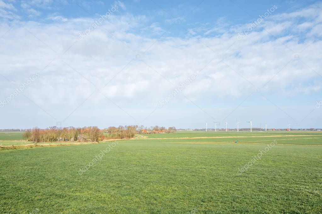 Pasture at Scharl in Friesland.