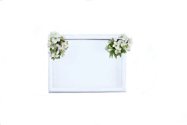 Arranjo Flor Fundo Branco Isolado Lugar Para Texto Leigos Planos — Fotografia de Stock