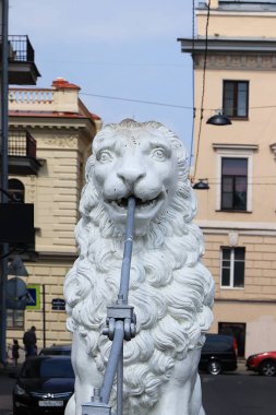 Rusya, St. Petersburg, 1 Temmuz 2019. Aslan Köprüsü 'ndeki Aslanlar. Fotoğrafta, St. Petersburg şehrinin mimari simgeleri olan Griboedov Kanalı 'ndaki Aslan Köprüsü' ndeki Aslanlar.