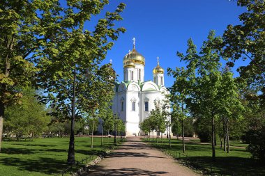 Rusya, St. Petersburg, 18 Mayıs 2019, Catherine Katedrali. Fotoğrafta, Catherine 'in Katedrali, St. Petersburg' un banliyösünde, Puşkin şehrinde, ilkbaharın başlarında, yeşil ağaçlar ve mavi gökyüzü ile çevrili.
