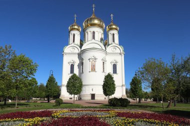 Rusya, St. Petersburg, 18 Mayıs 2019, Catherine Katedrali. Fotoğrafta, Catherine 'in Katedrali, St. Petersburg' un banliyösünde, Puşkin şehrinde, ilkbaharın başlarında, yeşil ağaçlar ve mavi gökyüzü ile çevrili.