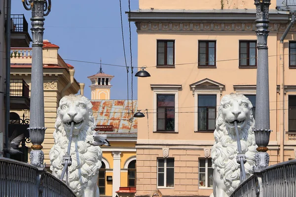 Rusia San Petersburgo Julio 2019 Leones Puente León Foto Leones — Foto de Stock