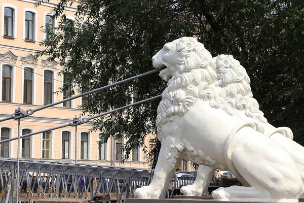 俄罗斯圣彼得堡2019年7月1日狮桥上的狮子 在图片中狮子在狮桥上的格里博埃多夫运河 这是圣彼得堡的建筑地标 — 图库照片