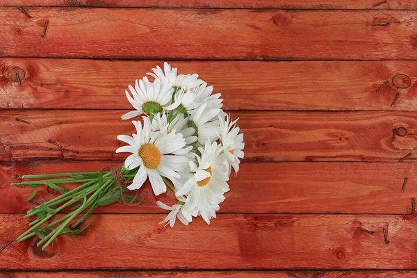 Abstract flower arrangement, background, minimal holiday concept, Creative modern bouquet of daisies. Mother's day card, happy birthday, wedding,