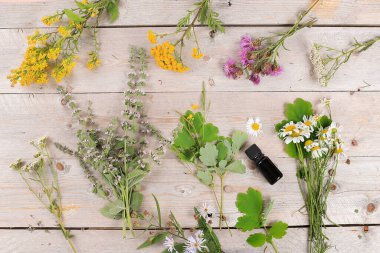 Hastalıkların tedavisinde tıbbi bitkiler, haplar ve yağlar, alternatif tıp ve doğal kozmetik kavramı, arka plan, nane, papatya çayı, celandin ve kireç kullanılmaktadır,