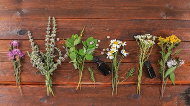 Şifalı bitkiler, haplar ve yağlar, alternatif tıp ve doğal kozmetik kavramı, arka plan, nane, papatya çayı, selandin ve yarrow hastalıkların tedavisinde kullanılır.,