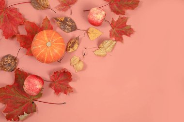 Mutlu Şükran Günü minimal konsepti, kartpostal, mevsimlik yapraklı sonbahar kompozisyonu, balkabakları, pastel arka planda elmalar, seçici odak, düz yatak, yazı için yer