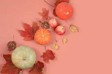 Mutlu Şükran Günü minimal konsepti, kartpostal, mevsimlik yapraklı sonbahar kompozisyonu, balkabakları, pastel arka planda elmalar, seçici odak, düz yatak, yazı için yer