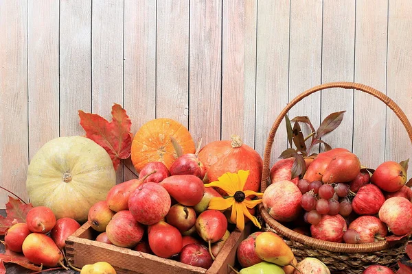 Composition Automne Avec Poires Citrouilles Pommes Fleurs Saison Sur Fond — Photo