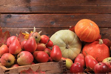 Şükran Günü konsepti, mevsimlik armutlar, balkabakları, ahşap arka planda elmalar ve çiçekler olan sonbahar kartpostalları, kopyalama alanı, seçici odaklanma. Hasat.,