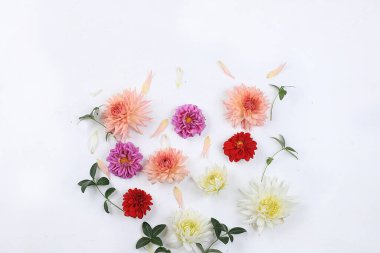 Sonbahar çiçeği kompozisyonu, soyut arkaplan düzlüğü, asgari tatil anlayışı, şükran günü. Anneler günü kartı, mutlu yıllar, düğün, mesajlaşma yeri.,