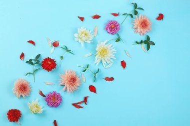 Sonbahar çiçeği kompozisyonu, soyut arkaplan düzlüğü, asgari tatil anlayışı, şükran günü. Anneler günü kartı, mutlu yıllar, düğün, mesajlaşma yeri.,