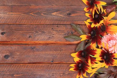 Sonbahar çiçek aranjmanı, soyut arka plan dairesi, minimum tatil konsepti. İçinde balkabağı, kahve ve çiçek olan Şükran Günü kartı, mesaj için yer