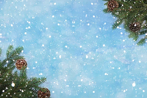 Χριστούγεννα Και Πρωτοχρονιά Φόντο Ένα Μπλε Χιονισμένο Φόντο Για Κλαδιά — Φωτογραφία Αρχείου
