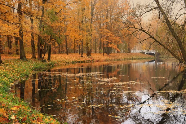 Herbstpark September Russland See Mit Roten Blättern Und Reflexion Dichten — Stockfoto
