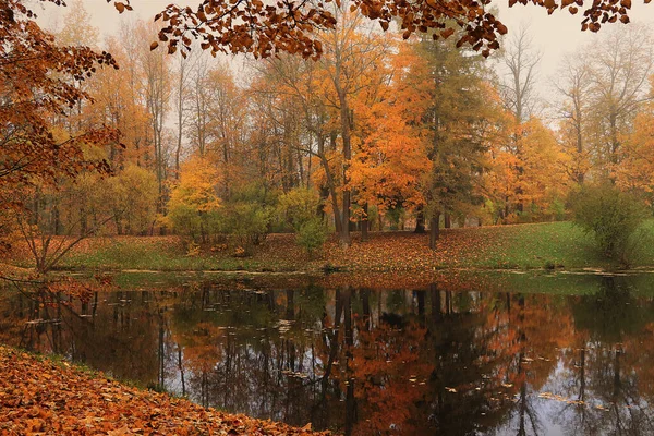 Wrześniowy Jesienny Park Rosji Jezioro Czerwonymi Liśćmi Odbicie Ciężkiej Mgle — Zdjęcie stockowe