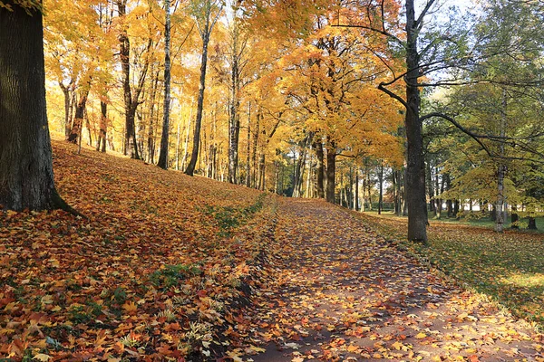 Podzimní Park Září Jasného Teplého Dne Stezka Červenými Listy Krásná — Stock fotografie