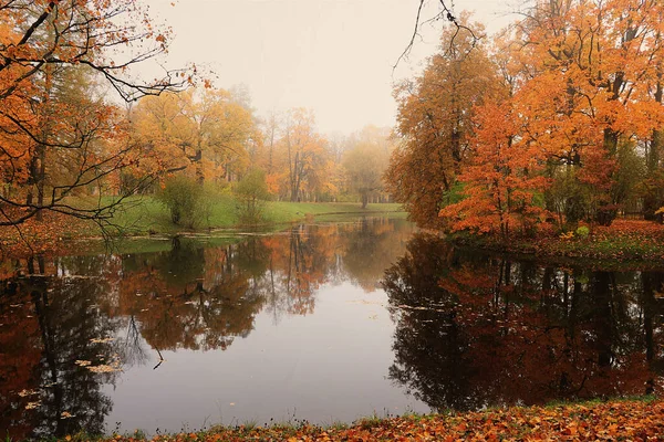 Сентябрьский Осенний Парк России Озеро Красными Листьями Отражением Густом Тумане — стоковое фото