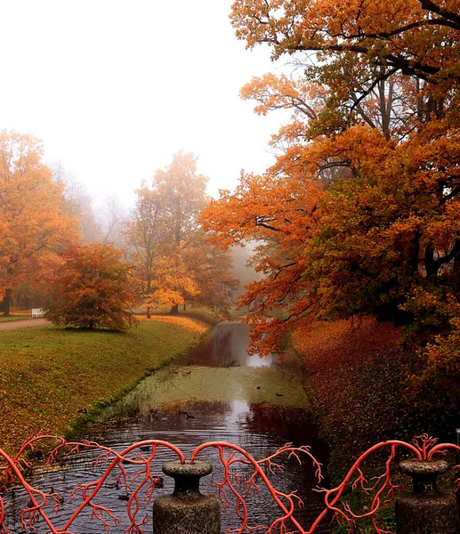 Wrześniowy Jesienny Park Rosji Jezioro Czerwonymi Liśćmi Odbicie Ciężkiej Mgle — Zdjęcie stockowe